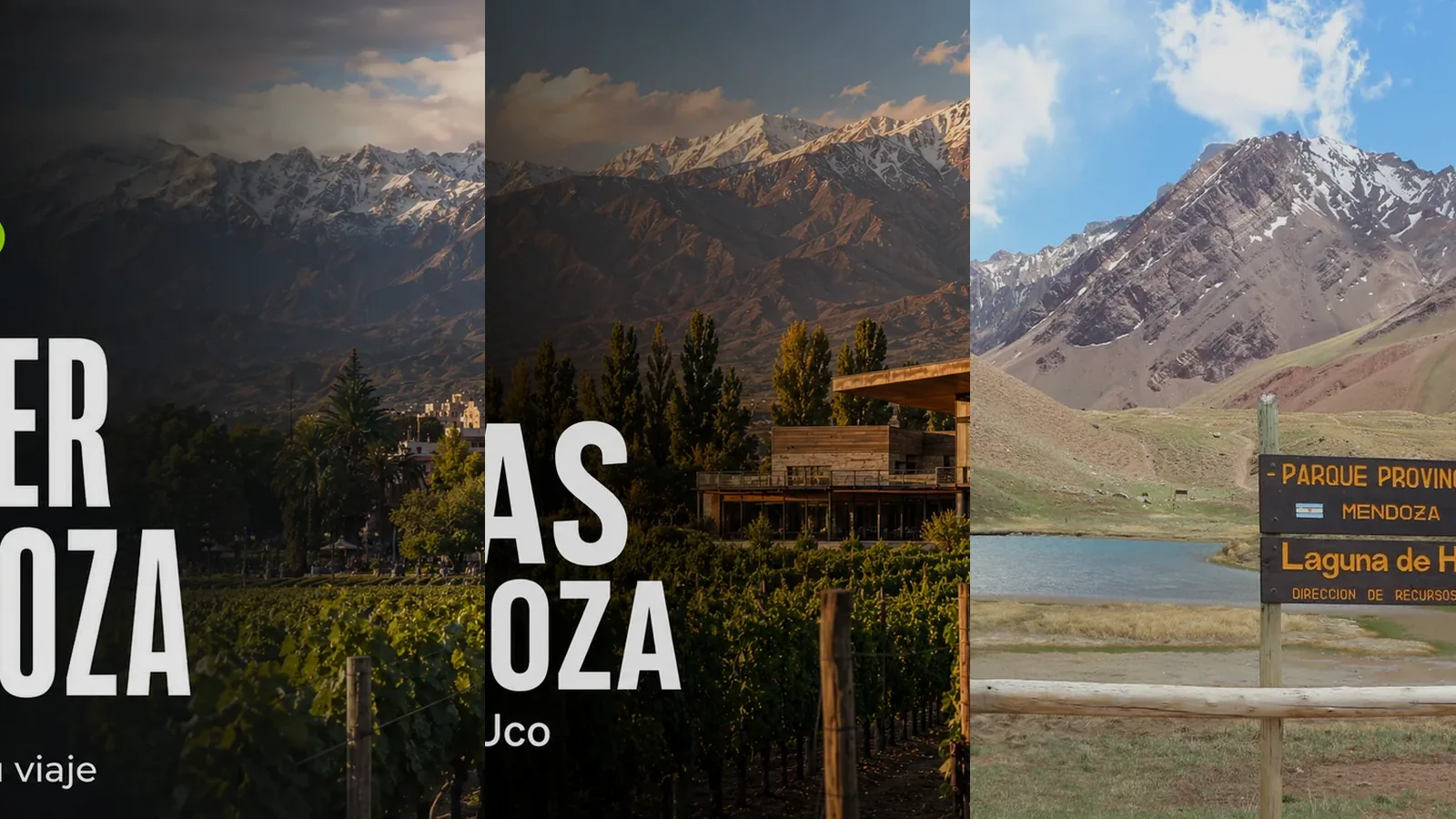 Ciudad, viñedos y Alta Montaña en Mendoza