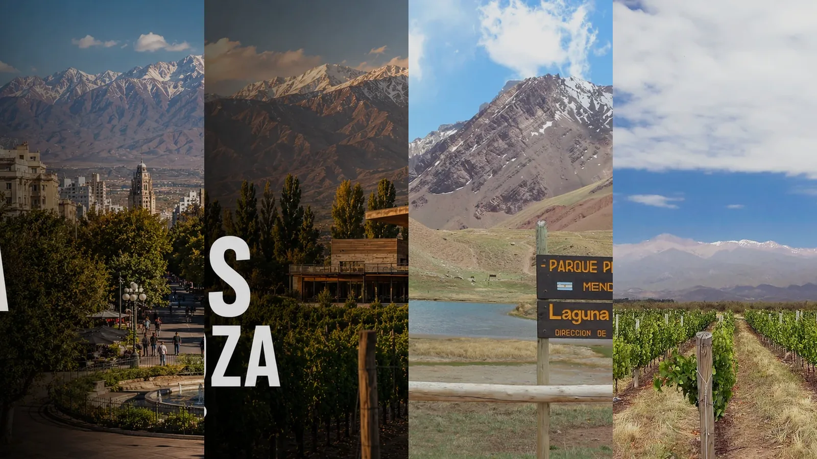 Ciudad, viñedos y montaña durante una semana en Mendoza