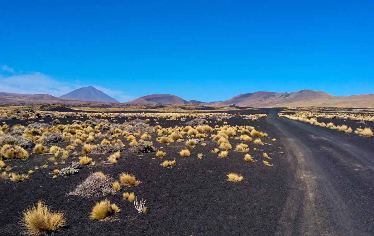 Paisaje volcánico negro de la Reserva La Payunia, Mendoza