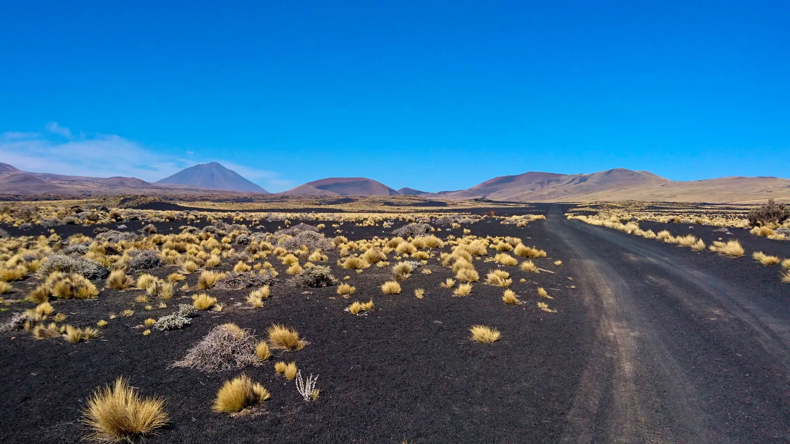 Paisaje volcánico negro de la Reserva La Payunia, Mendoza